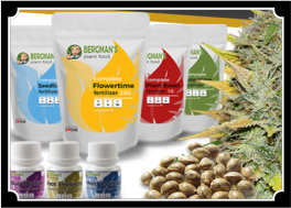 Marijuana Grow Kit Gold Leaf