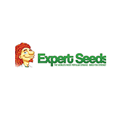 EXPERT SEEDS