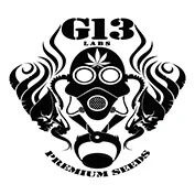 G13 LABS