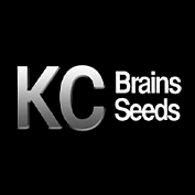 KC BRAINS