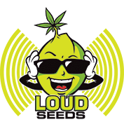 LOUD SEEDS