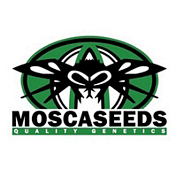 MOSCA SEEDS