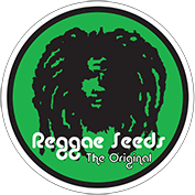 REGGAE