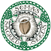 SOMA SEEDS